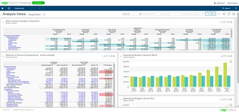 accounting software for charities|sage nonprofit.